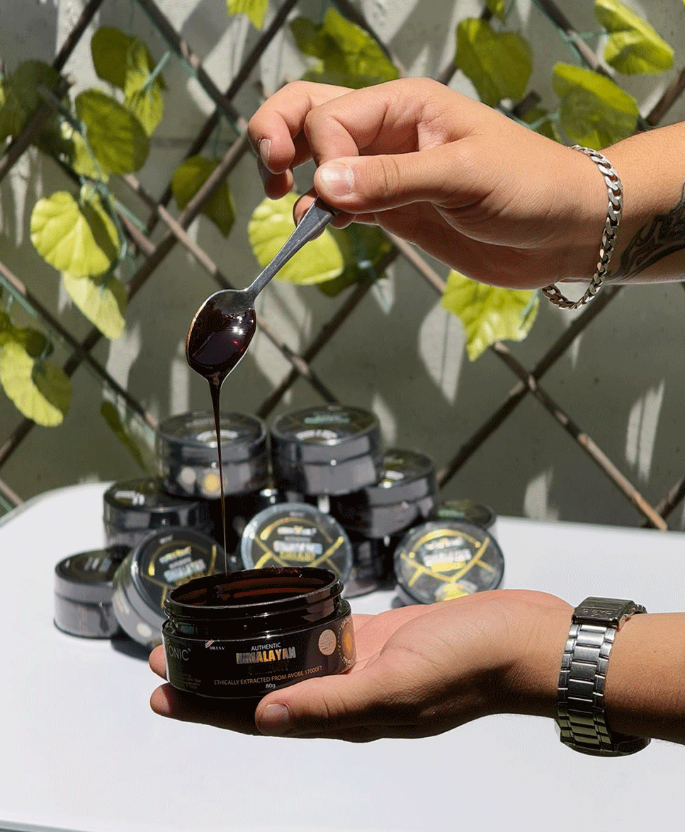 Shilajit Himalaya Original