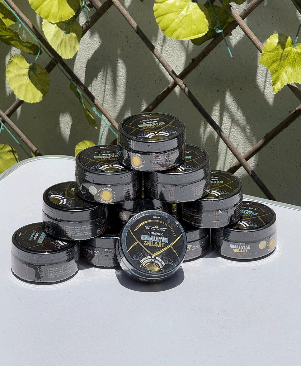 Shilajit Himalaya Original